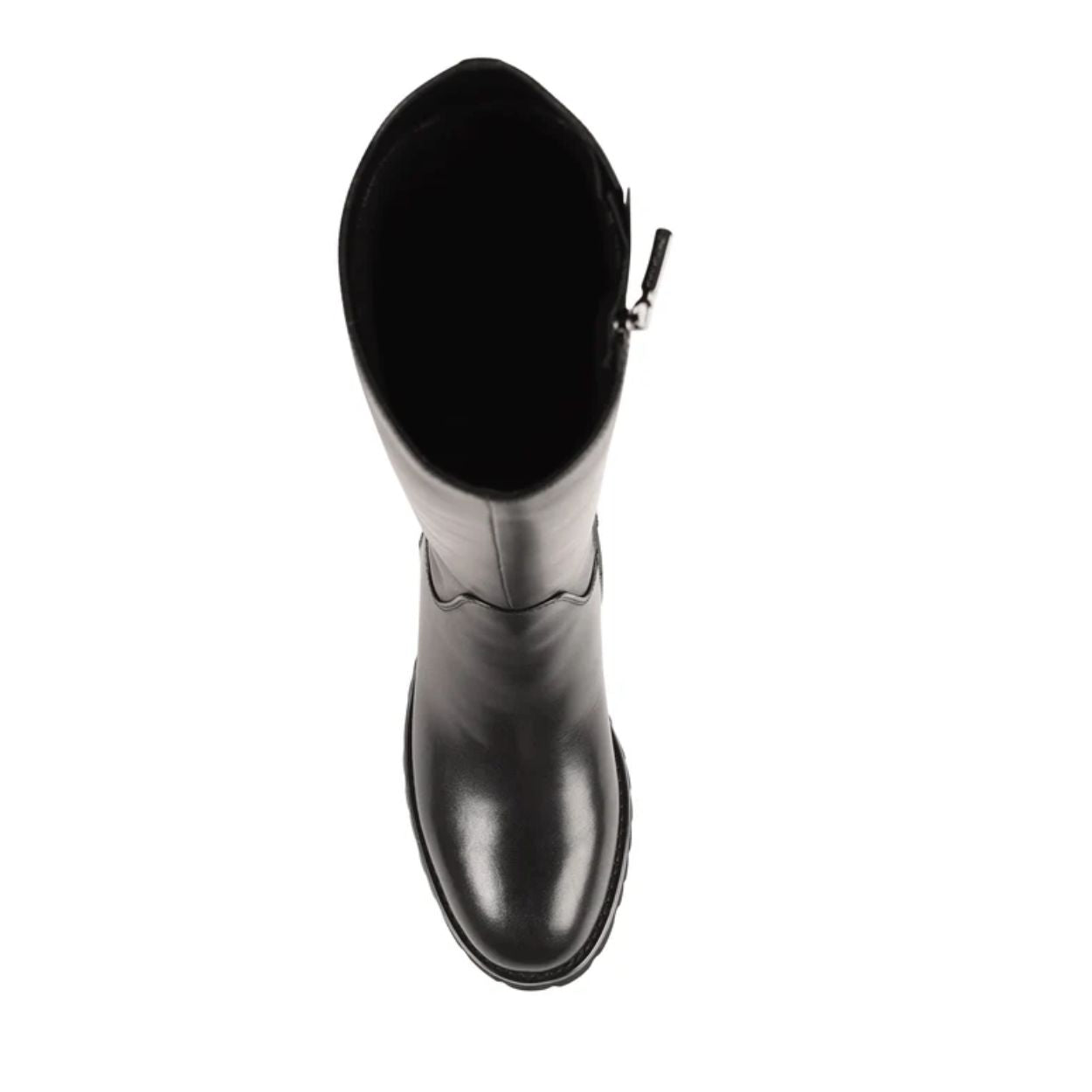 LILIANA - B7951