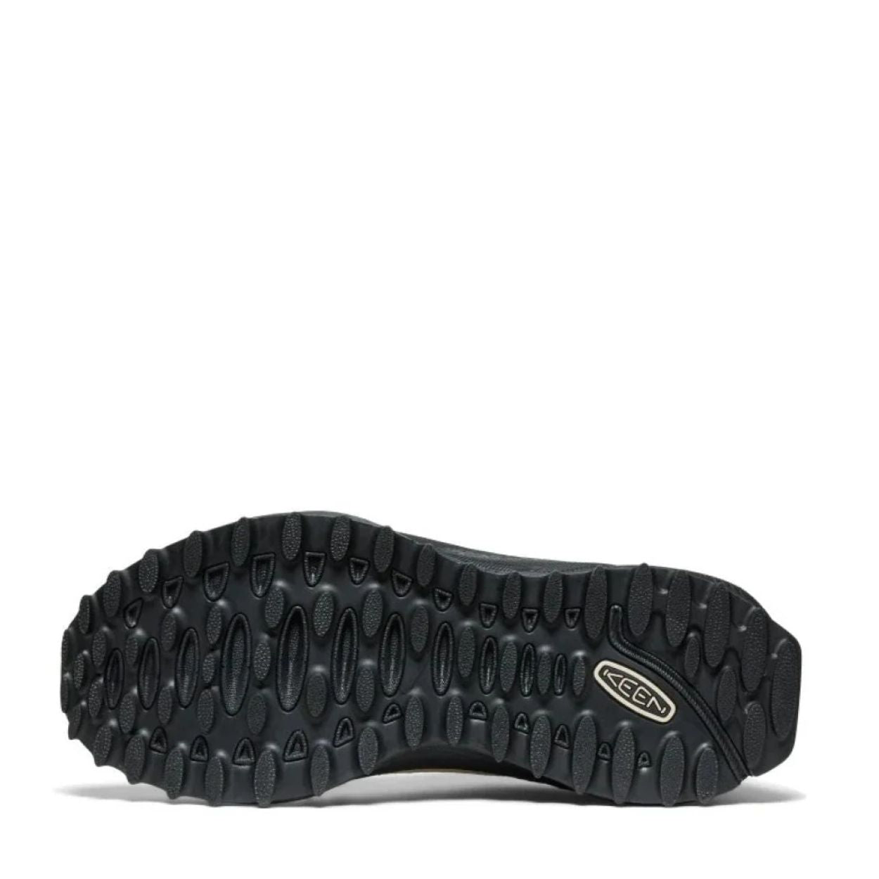 JASPER ZIONIC W